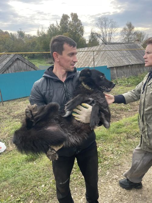 Наталья Яранова: там был настоящий зооконцлагерь