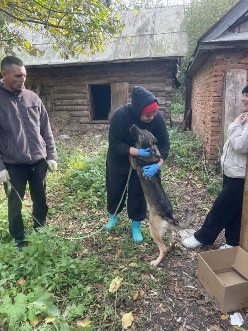 Наталья Яранова: там был настоящий зооконцлагерь