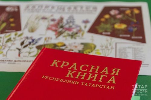 Историческое событие в сфере охраны природы Татарстана