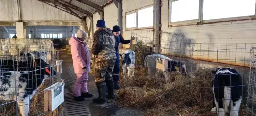 Сюкеевский животноводческий комплекс ожил