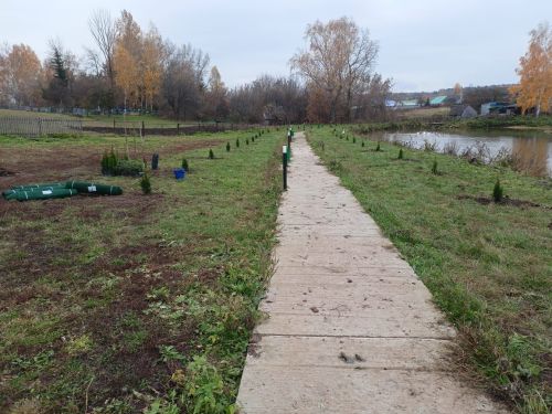 Почему важно указывать в договоре купли-продажи наличие охранных зон на участке