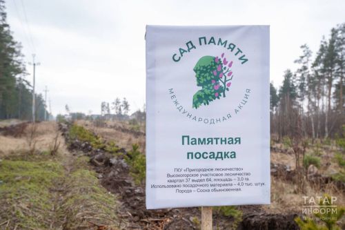 В Татарстане с 25 апреля по 2 мая пройдёт международная акция «Сад памяти»