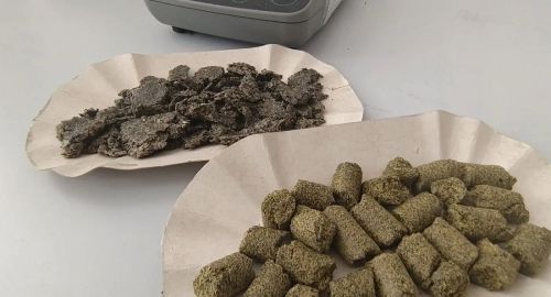 Экспорт подсолнечного шрота из Татарстана: контроль качества и безопасность