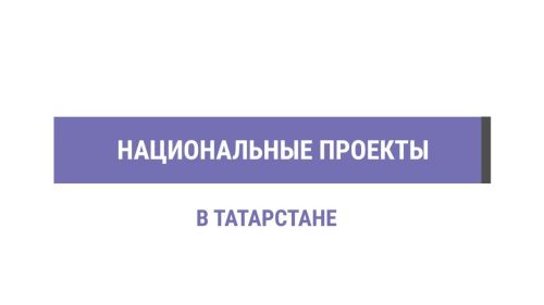 Как в Татарстане реализуют нацпроекты: 2200 отзывов, 54 млрд рублей и голосование за парки