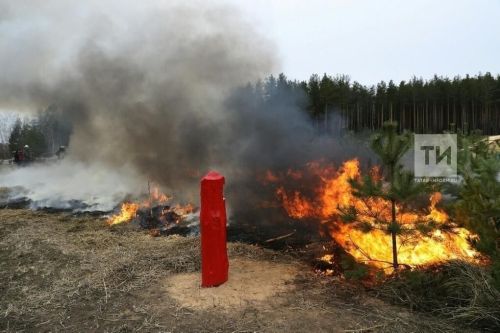 Во время отдыха на природе следует быть предельно осторожными