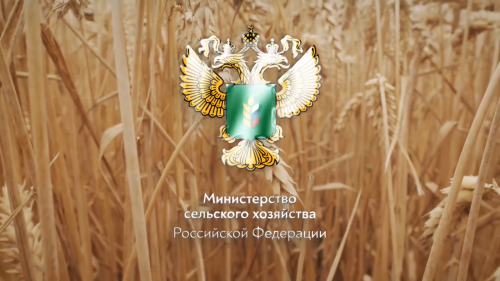 Минсельхоз РФ объявил о приеме заявок на Национальную премию «МедиаПоле»