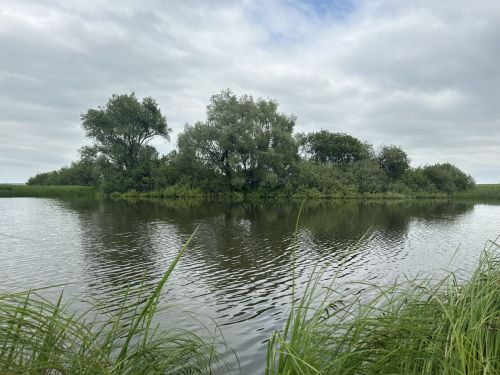 Трагедия на воде: в Татарстане утонул 24-летний парень