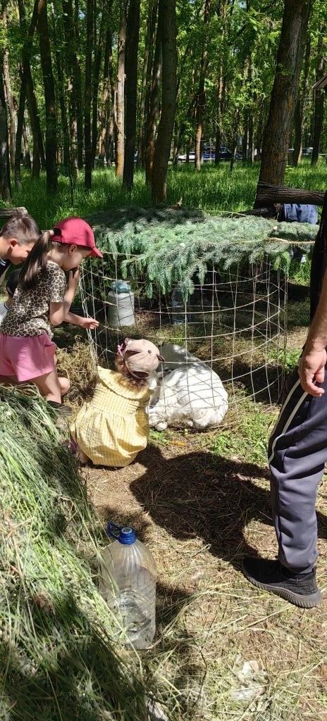 Тепло по-семейному прошел Сабантуй в Камском Устье