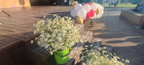 День семьи, любви и верности отметили в Камском Устье