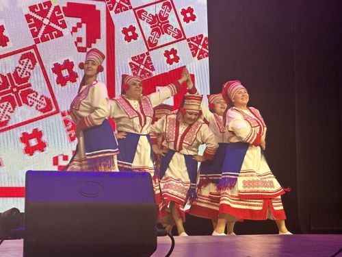Камско-Устьинский район представил свою культуру в Казани