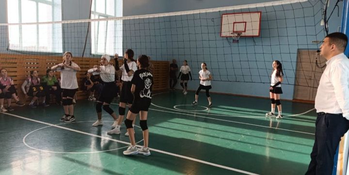 Юные спортсменки сразились в волейбольном турнире в Тенишево