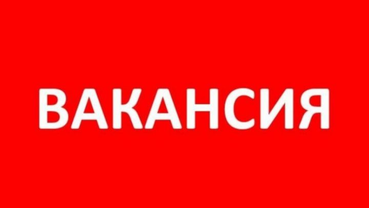 Требуется помощник руководителя