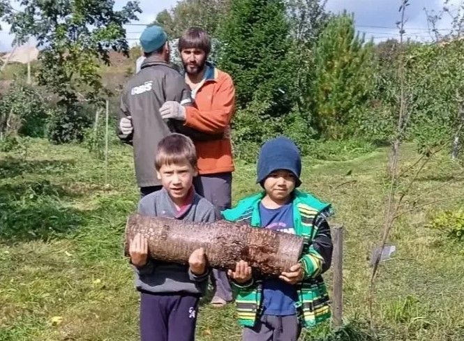 С Днем отца