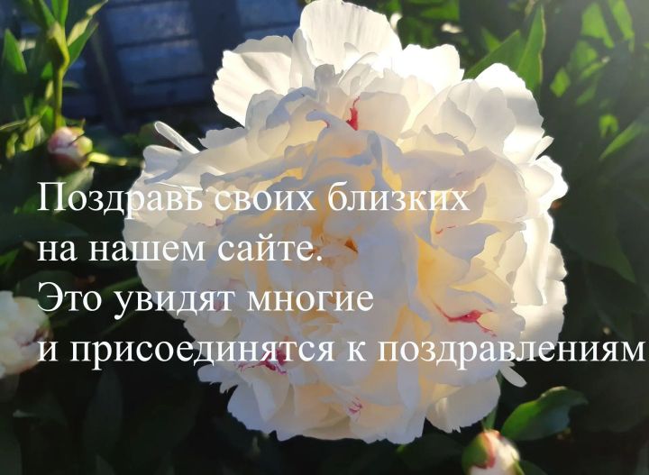 Поздравь своих близких