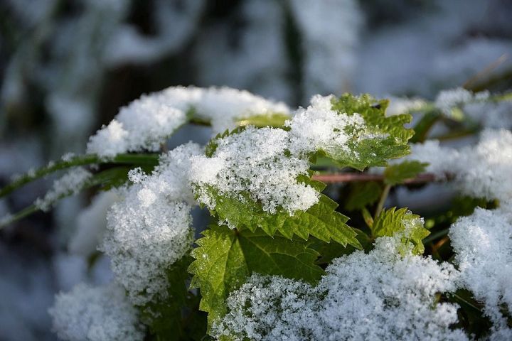 Зима наступает: с 9 ноября в Татарстане ожидается существенное похолодание
