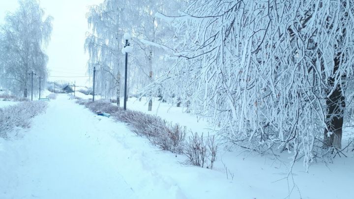 Прогноз погоды в Камском Устье на 14 января