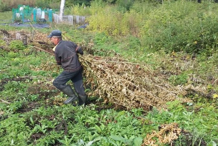 В Уразлинском поселении жители провели уборку на всех кладбищах