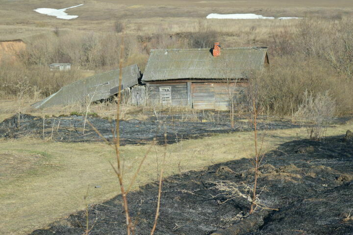 С начала апреля в Татарстане за сжигание сухой травы оштрафованы 96 человек