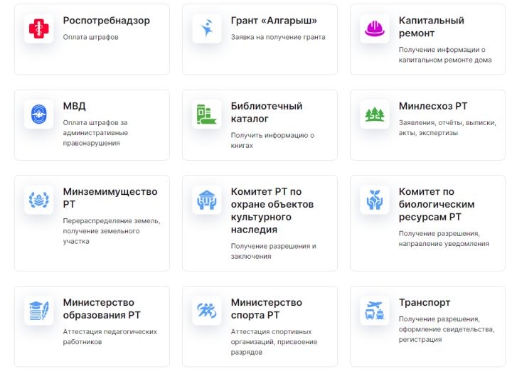 За год 70 социально значимых госуслуг в Татарстане перевели в электронный формат