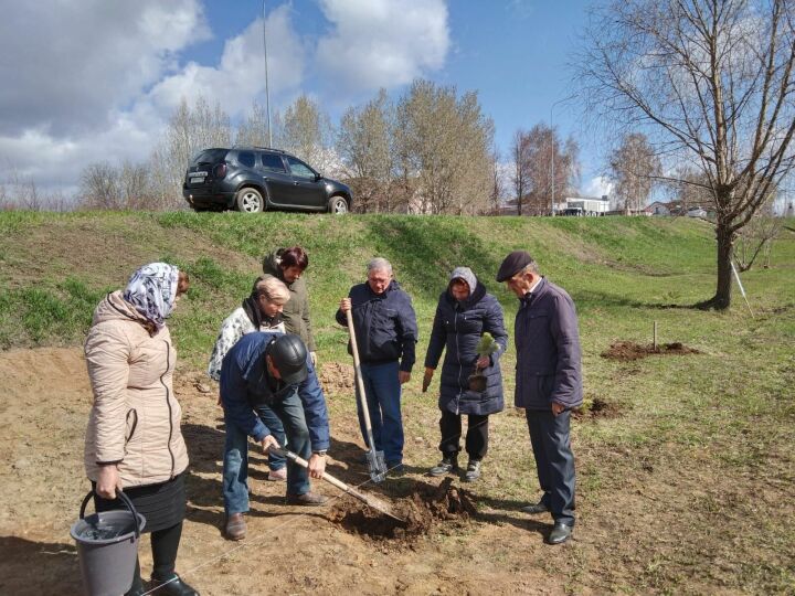 Саженцы плодово-ягодных деревьев были посажены школьным экоотрядом и ветеранами