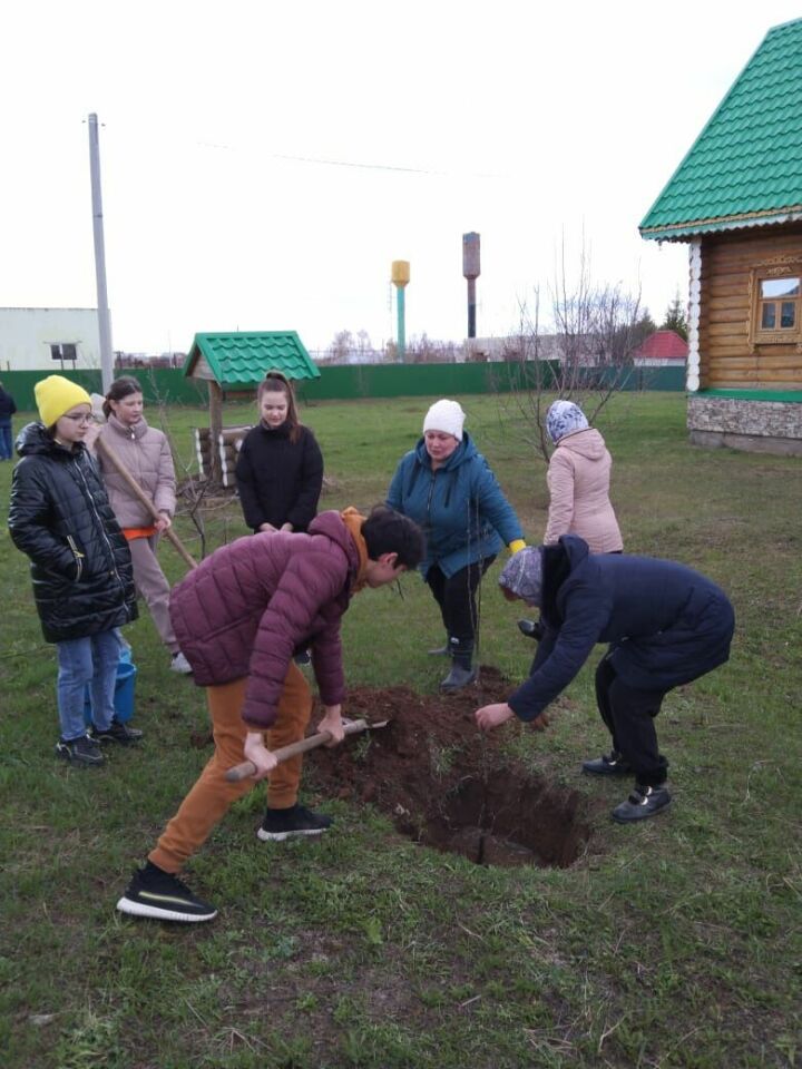 Саженцы плодово-ягодных деревьев были посажены школьным экоотрядом и ветеранами