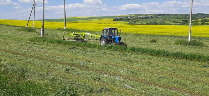 В Минсельхозе РТ рекомендовали владельцам ЛПХ из Камско-Устьинского района усилить работу по заготовке кормов