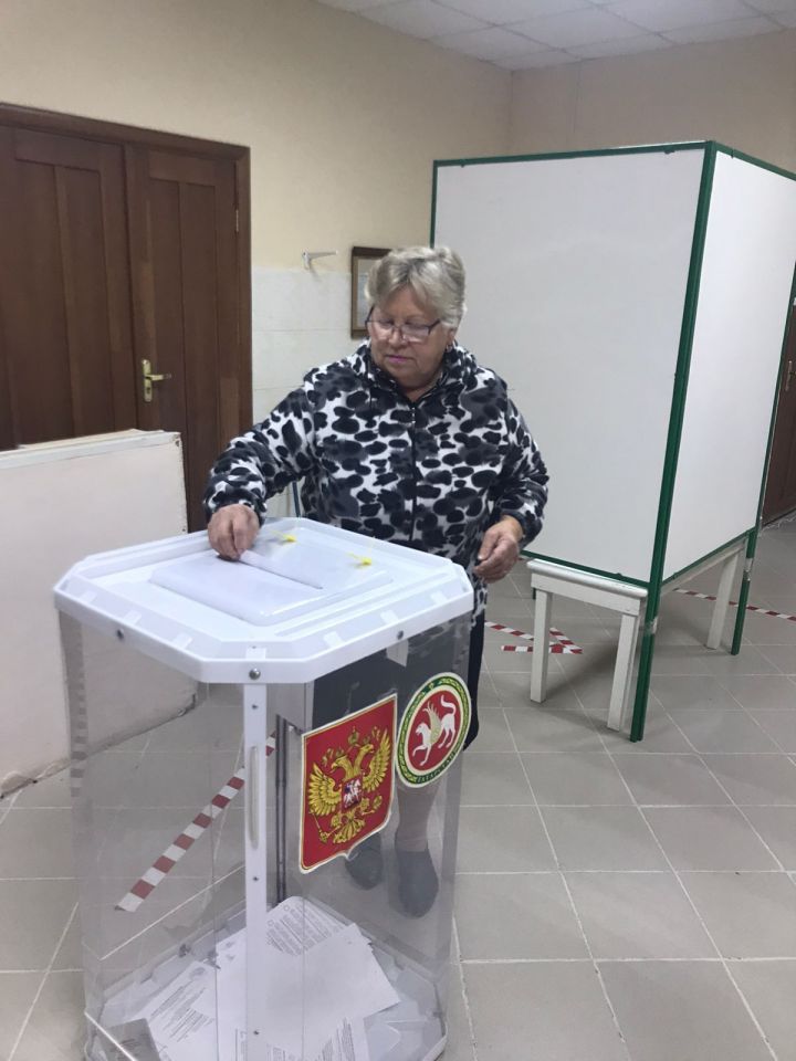 Стали известны результаты допвыборов в Камско-Устьинском районе