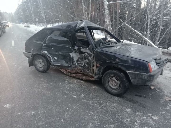 В Татарстане водитель «ВАЗа» сбил лося и попал в лобовое столкновение с «Ладой»