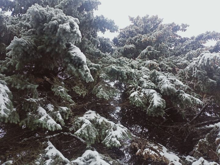 Татарстанда томан һәм -25 градус салкын булачак