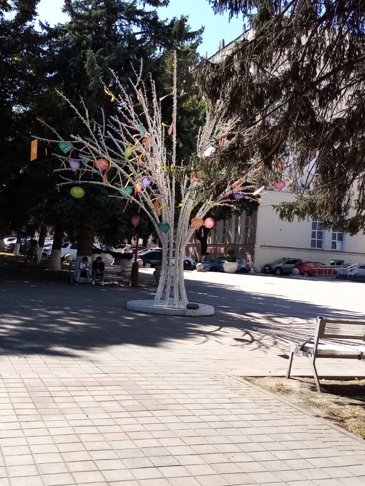 Краснодар крае: сәяхәт башлана