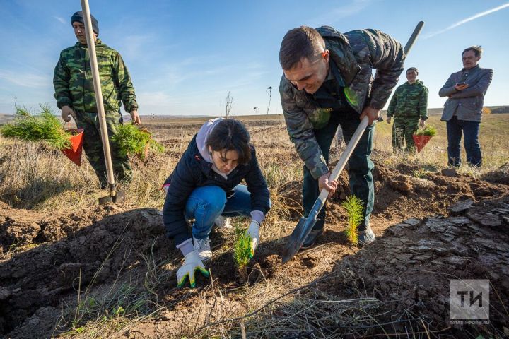 В субботу в Татарстане в пятый раз пройдет Всероссийская акция «Сохраним лес»