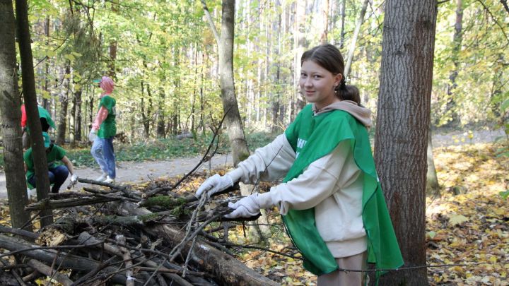 В Татарстане подвели итоги осеннего этапа природоохранной акции «Чистые леса Татарстана»