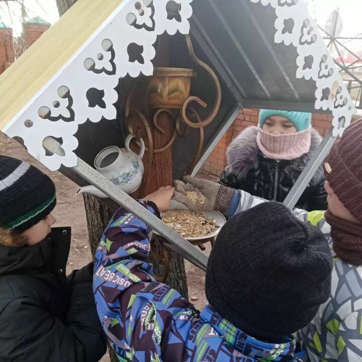Время готовить кормушки для птиц