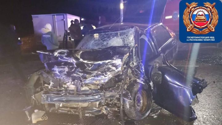 Четверо детей и трое взрослых пострадали в ДТП в Татарстане