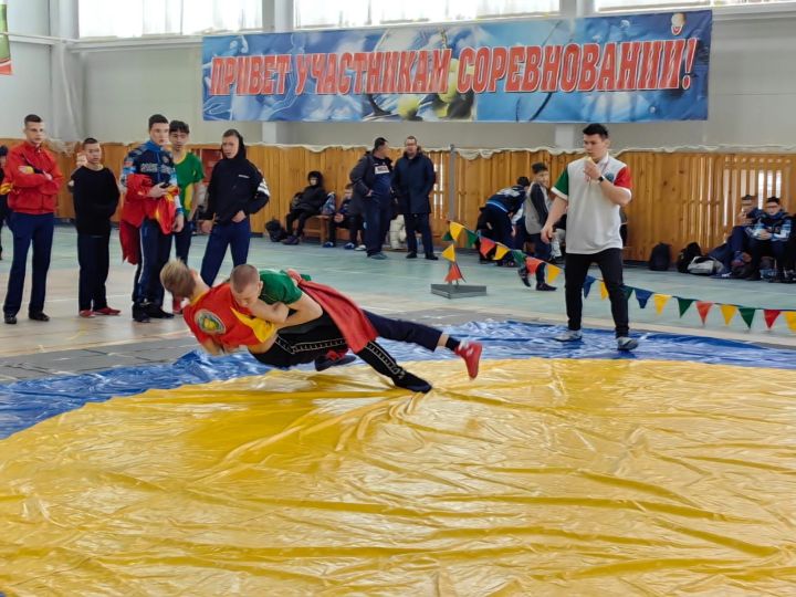 Пять призовых мест у камскоустьинских борцов
