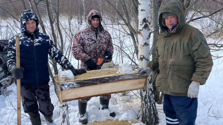 В лесах для животных устраивают специальные кормушки-солонцы