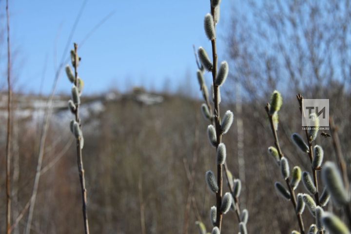 Татарстанда салкынайта һәм көчле җил көтелә