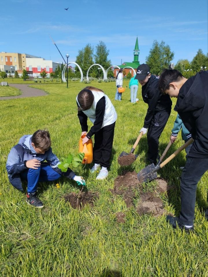 Акция «Сад Памяти» проходит в Камско-Устьинском районе