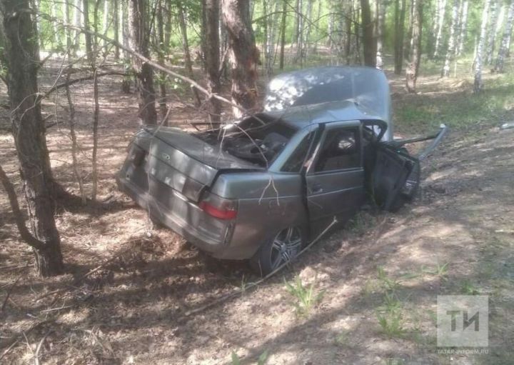 Водитель легковушки влетел в дерево