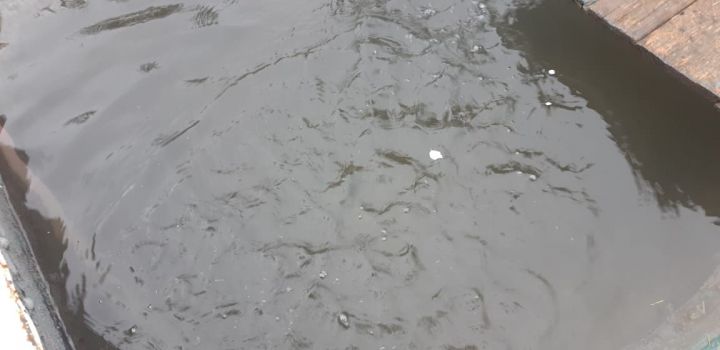 Обещали жаркий май, но вновь ошиблись