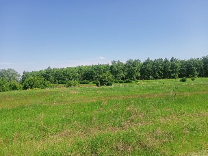 Погода в Камском Устье на завтра
