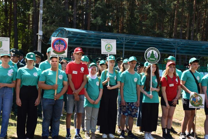 Слет школьных лесничеств состоится в Татарстане