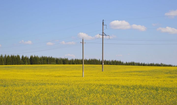 В Татарстане на этой неделе ожидается аномальная жара до +35 градусов