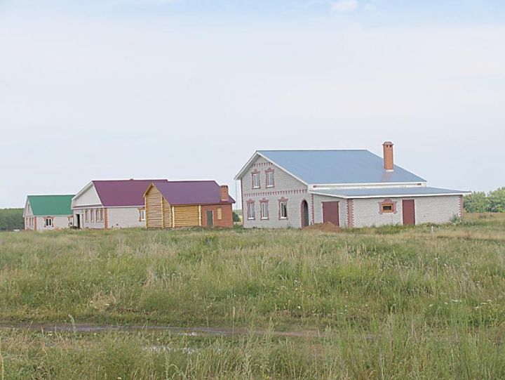 Жители Татарстана более 5 тысяч раз нарушили земельное законодательство