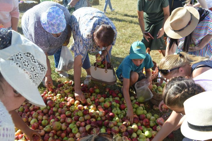 В субботу всех ждут на празднике «Яблочный спас»