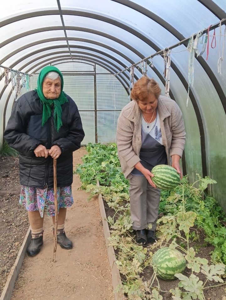 Соцработники помогают пожилым в сборе урожая