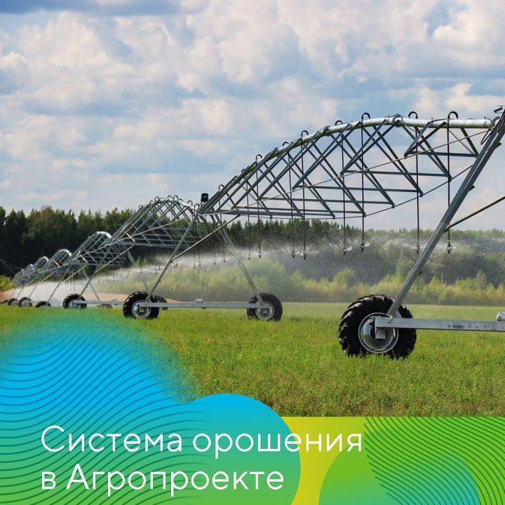 В полях Агропроекта «Августа» в Татарстане начнет действовать система орошения