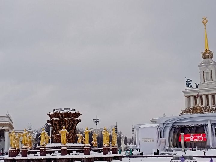 Новогоднее путешествие: фонтан «Дружба народов», сокровища Тутанхамона и елки России