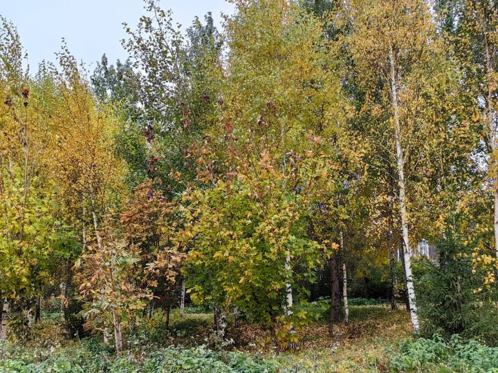 Синоптики по-прежнему прогнозируют снег