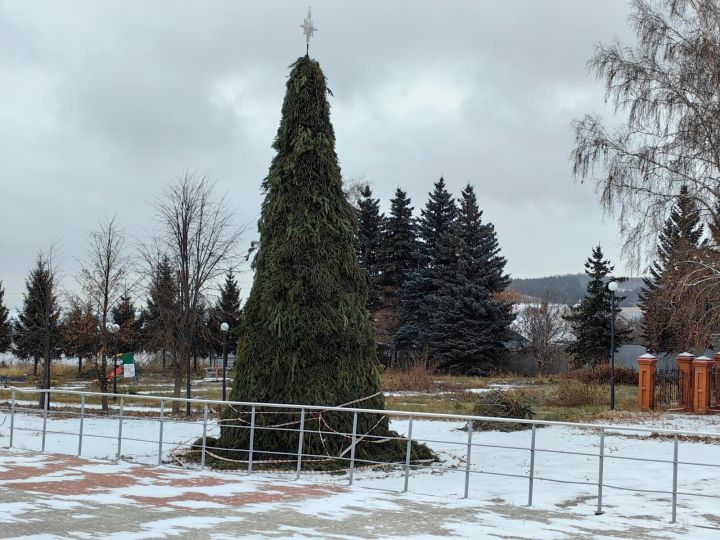 Камскоустьинцам предлагают всей семьей участвовать в новогодних конкурсах
